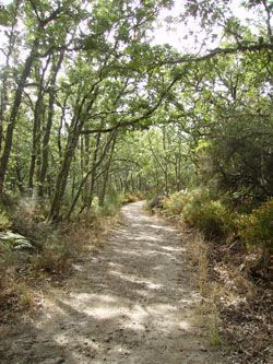 Asentadero de los curas