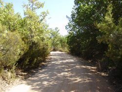 Camino de Los Rodales. Miranda del Castañar