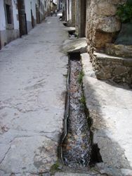 Regaderas