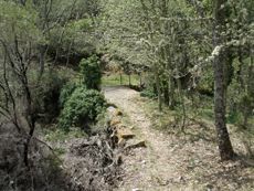 San Martín del Castañar - La Alberca