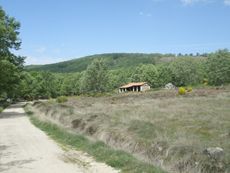 San Martín del Castañar - La Alberca