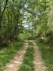 San Martín del Castañar - La Alberca