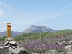 San Martín del Castañar - La Alberca