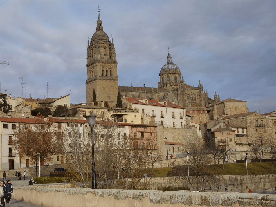 Catedral nueva