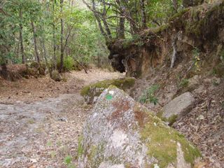 Ruta de la Dehesa de Mogarraz