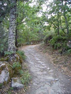 Ruta de la Dehesa de Mogarraz