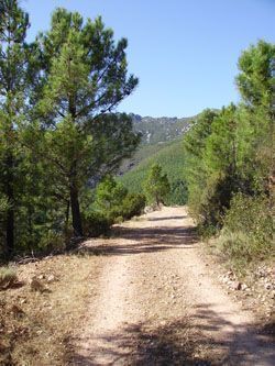 Camino de la Fuente el Águila