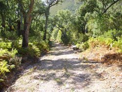 Camino de Herguijuela a la Fuente Mundo