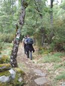 Ruta de Herguijuela a la Alberca
