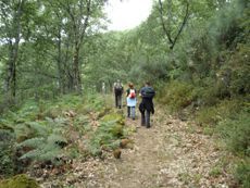 Ruta de Herguijuela a la Alberca