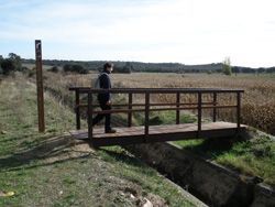 Camino de Santa Lucía, de Juzbado a Almenara de Tormes