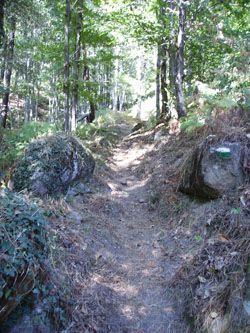 Camino del molino y del haya de Herguijuela