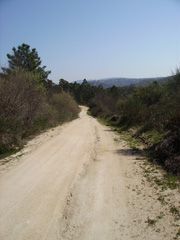Camino Monforte de la Sierra-Miranda del Castañar.