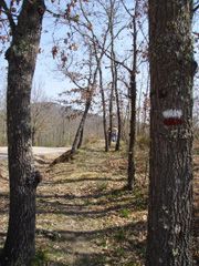 Camino Monforte de la Sierra-Miranda del Castañar.