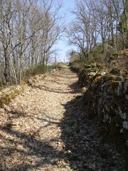 Camino Monforte de la Sierra-Miranda del Castañar.