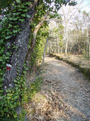 Camino Monforte de la Sierra-Miranda del Castañar.