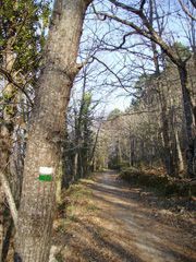 Camino Monforte de la Sierra-Miranda del Castañar.
