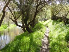 Montemayor del Río
