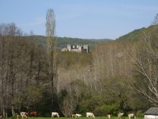 Montemayor del Río