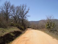 Ruta Linares de Riofrío-Pico Cervero