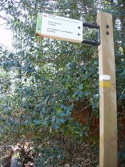 Ruta Linares de Riofrío-Pico Cervero