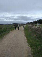 Camino de los Molinos de Retortillo