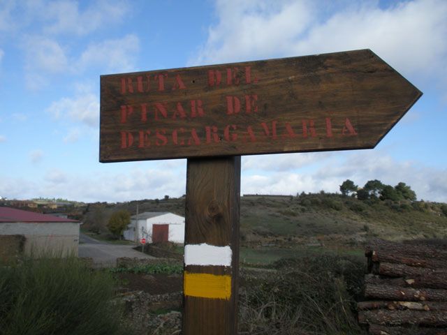 Camino de la mula