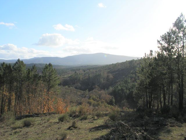 Camino de la mula