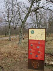 Camino de las raices, ruta circular en La Alberca