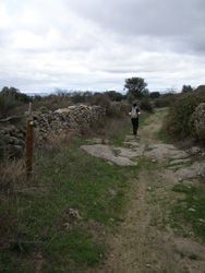 Sendero del Molino de la Vega. Sobradillo