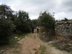 Sendero del Molino de la Vega. Sobradillo