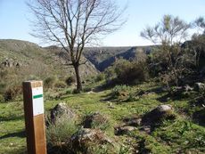 Camino del Castro de Saldeana.