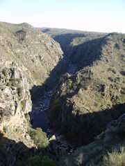Camino del Castro de Saldeana.