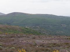 San_Martin_4