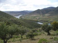 arribes_del_duero_1