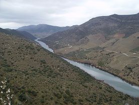mafeito_4