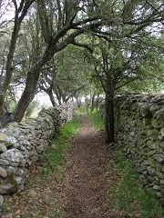colmenar_4