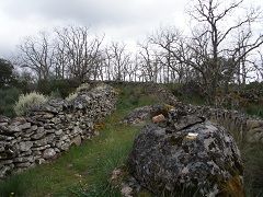 colmenar_8