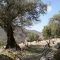 Ruta Asentadero-Bosque de los Espejos. San Martín del Castañar-Sequeros-Las Casas del Conde