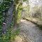 Camino Monforte de la Sierra-Miranda del Castañar.