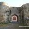 Muralla de Ledesma y Puerta de San Nicolás
