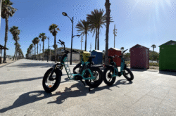 Visita guiada en bicicleta por Valencia